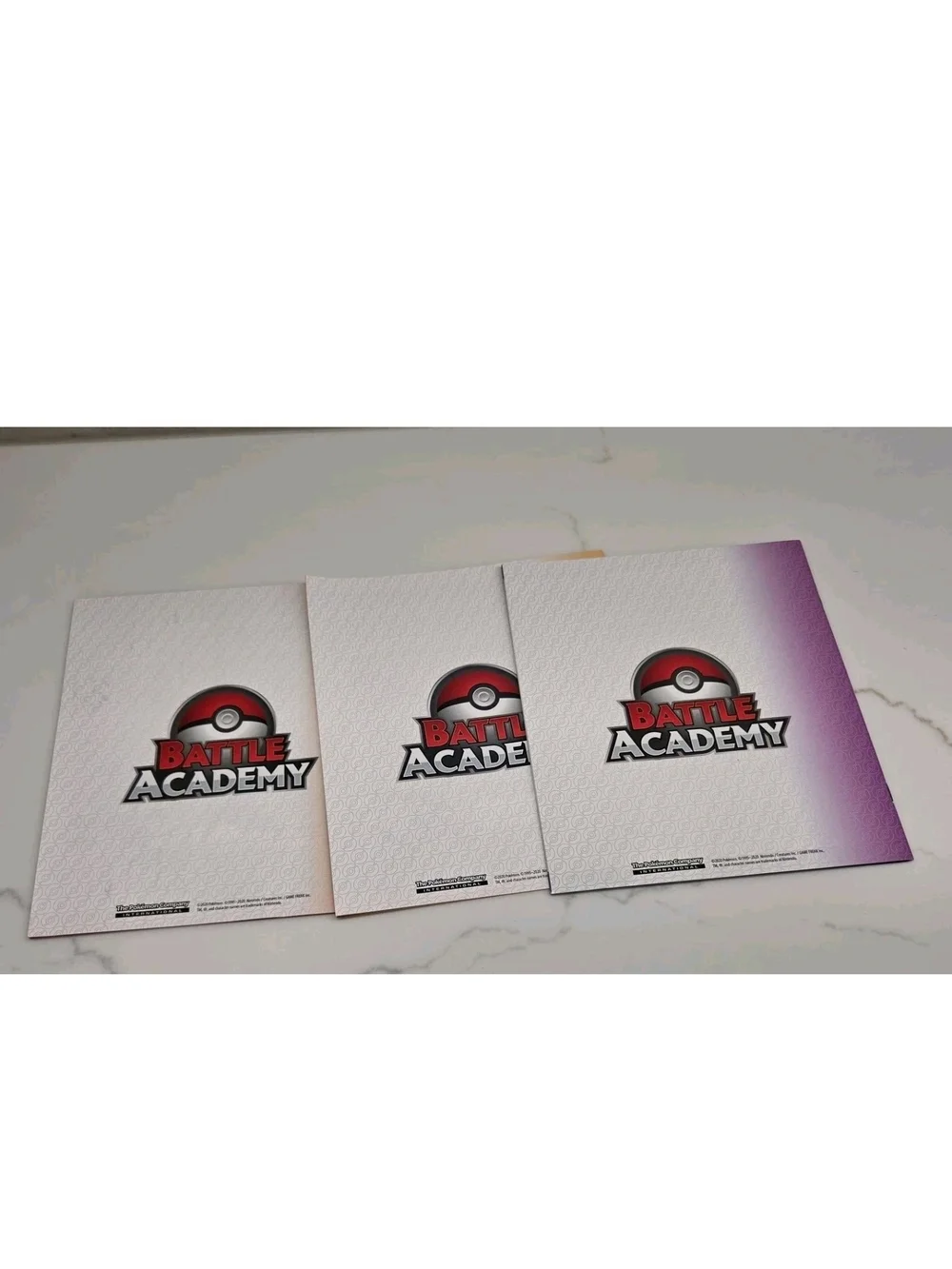 Pokemon Battle Academy Charizard Deck Guide Pikachu Deck Guide Manual Only